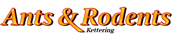 Kettering Ant Exterminator & Rodent Control Company Logo